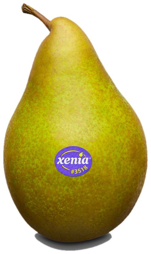 Xenia®